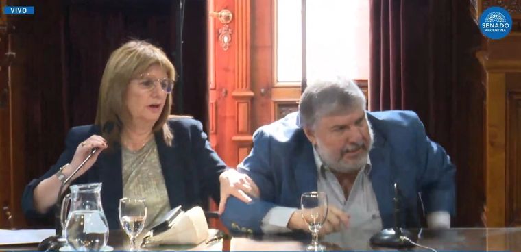 El cruce entre Bullrich y Mayans. Foto: Captura SenadoTV El cruce entre Bullrich y Mayans. Foto: Captura SenadoTV