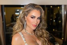 Con un sensual video, Ninel Conde hace vibrar alto la red Ninel Conde Foto: Instagram