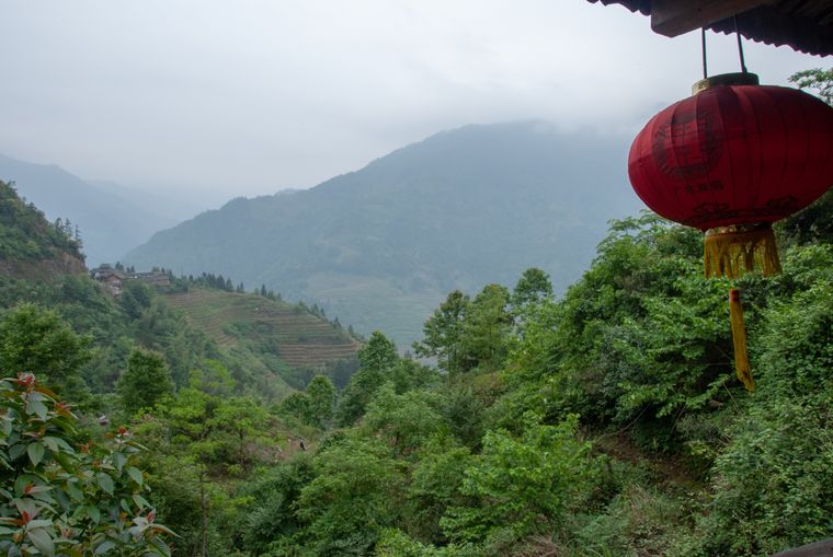 El descubrimiento ocurrió en las montañas Dabie, ubicadas en la provincia de Anhui, este de China Foto: Shutterstock