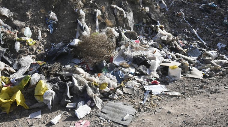 Imagen ilustrativa Foto: Rodrigo DAngelo / MDZ