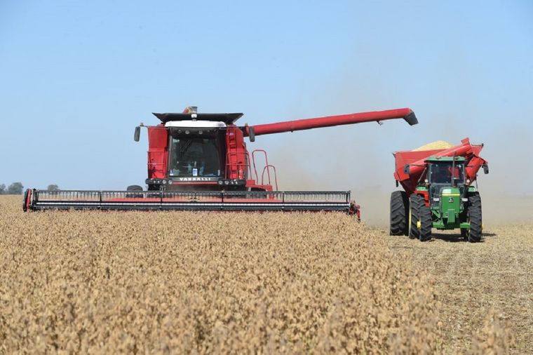 Se dio a conocer el reporte de la Dirección de Informaciones y Estudios Económicos de la Bolsa de Comercio de Rosario. Foto: Bolsa de Comercio de Rosario