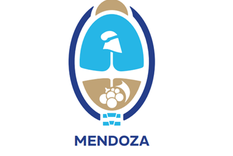 municipalidad de lujan de cuyo: licitacion publica nro. 1133/25. expediente licitatorio n° 4488-25