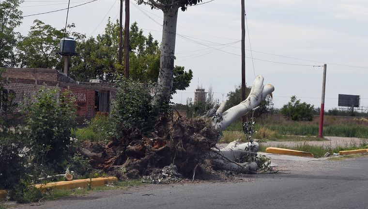 Foto: ALF PONCE MERCADO / MDZ