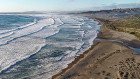 Arena natural y biodiversidad rodean esta playa escondida de Chile dentro de la Reserva Nacional El Yali. Imagen ilustrativa.  