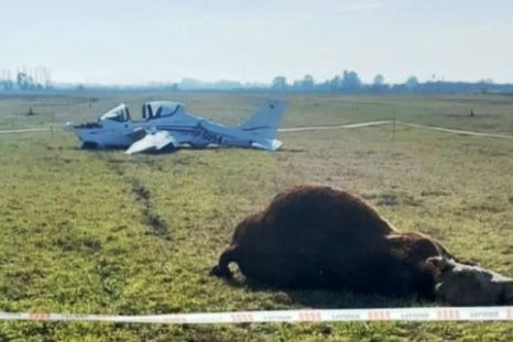 Una avioneta chocó con un toro el Aero Club de Chivilcoy, en la provincia de Buenos Aires. Una avioneta chocó con un toro el Aero Club de Chivilcoy, en la provincia de Buenos Aires.