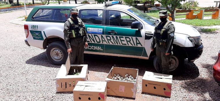 Los gendarmes controlaron un auto y descubrieron algo insólito en el baúl