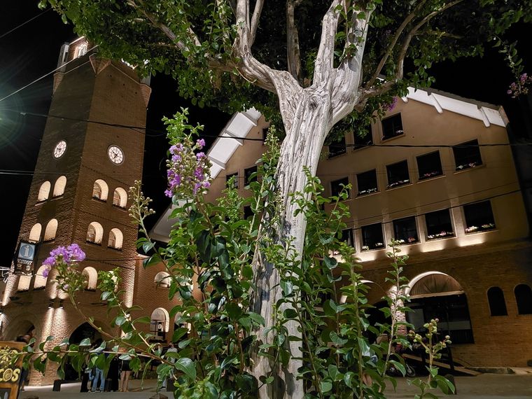 Estos enclaves son ideales para relajarse y conocer.