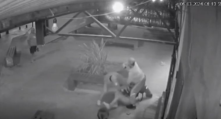 La mujer policía fue atacada violentamente por dos delincuentes Foto: Captura de video