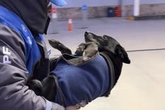 El divertido video viral fue grabado en una estación de servicio de Jujuy. Foto: Archivo