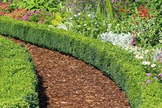 Foto: Bob Vila Foto: Bob Vila