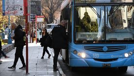 Empresarios del transporte denuncian falta de ingresos para pagar sueldos. Foto:  MDZ