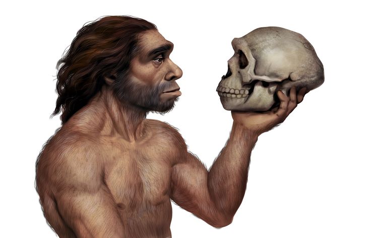 Los neandertales tenían una estructura corporal más potente y activa. Foto: Shutterstock.