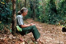 Jane Goodall deja un potente mensaje en esta nueva propuesta de Netflix.