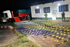 El hallazgo de Gendarmería Foto: NA