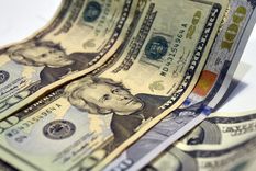 Foto: ALF PONCE / MDZ