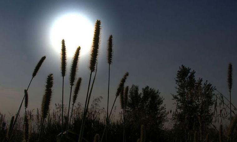 Este es el calendario de enero 2024, conocelo en esta nota Foto: Freepik