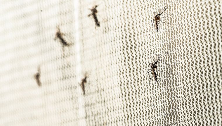 El costo total implica una importante inversión para el hogar Foto: Shutterstock