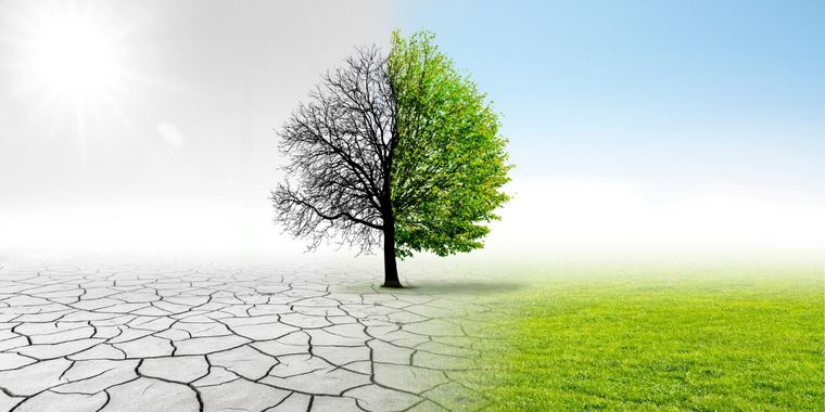 El cambio climático es una realidad ineludible. Foto: Shutterstock El cambio climático es una realidad ineludible. Foto: Shutterstock
