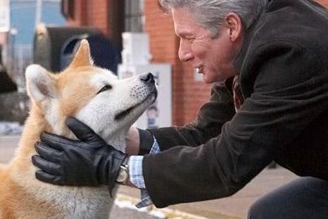 Siempre a tu lado, Hachiko, la película que protagonizó Richard Gere, hizo llorar a milllones de personas en todo el mundo. Siempre a tu lado, Hachiko, la película que protagonizó Richard Gere, hizo llorar a milllones de personas en todo el mundo.
