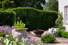 Estas plantas de bajo mantenimiento aportan textura, color y carácter, convirtiendo una necesidad en un buen diseño. Imagen:&nbsp;Future / Alicia Taylor