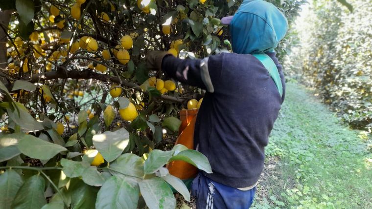 El hombre estaba trabajando cuando se descompensó Foto: Alejando Vilca Red Social X