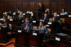 Martín Kerchner fue elegido nuevamente como presidente provisional del Senado.