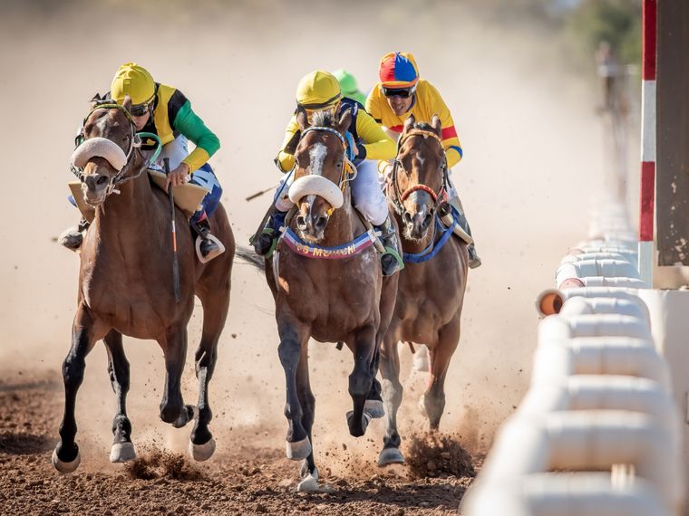 Ultra Famoso por dentro venció por media cabeza a Macklin. Foto: Gentileza José Maluf