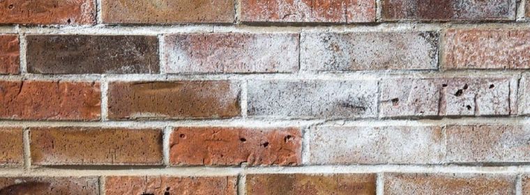 El salitre es un problema de humedad que puede traernos algunos dolores de cabeza. Foto: iSotck