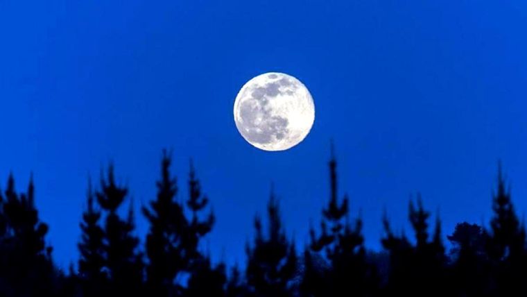 Las fases lunares tienen un gran impacto en tu jardín Foto: EFE