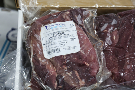 La carne de guanaco comenzó a venderse en un local especializado de Río Gallegos. La carne de guanaco comenzó a venderse en un local especializado de Río Gallegos.