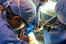 Más de 20 mil argentinos están dispuestos a donar órganos. Foto: Gentileza Más de 20 mil argentinos están dispuestos a donar órganos. Foto: Gentileza