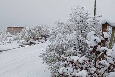 El pronóstico anticipa nevadas persistentes en Santa Cruz y Tierra del Fuego durante el lunes. El pronóstico anticipa nevadas persistentes en Santa Cruz y Tierra del Fuego durante el lunes.