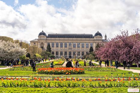 El hallazgo en París devolvió a escena un sello real que había estado perdido durante más de 40 años. El hallazgo en París devolvió a escena un sello real que había estado perdido durante más de 40 años.