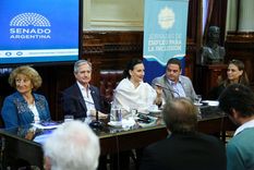 denuncian a la exvice de macri por gastos irregulares en el senado