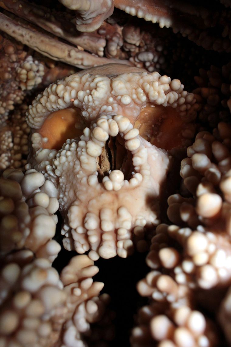 Fósil de uno de los neandertales en el sur de Italia: el famoso neandertal de Altamura. Foto Dpa Fósil de uno de los neandertales en el sur de Italia: el famoso neandertal de Altamura. Foto Dpa