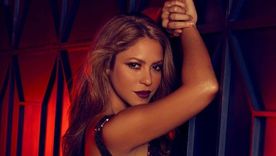 Shakira tiene un look y un estilo muy marcado, donde sabe potenciar lo mejor de ella misma. Foto: Instagram