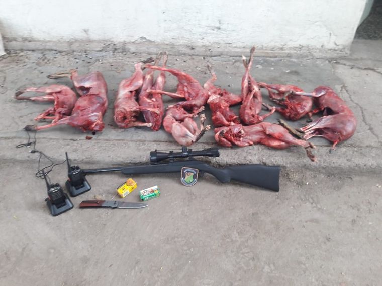 Las vizcachas secuestradas a los cazadores.