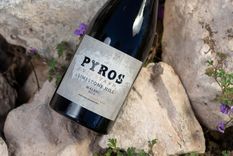 Este es el mejor vino de Argentina, según un importante concurso