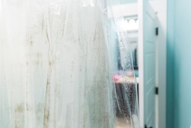 MDZol | Con estos trucos de limpieza la cortina del baño quedará impecable Foto: Shutterstock