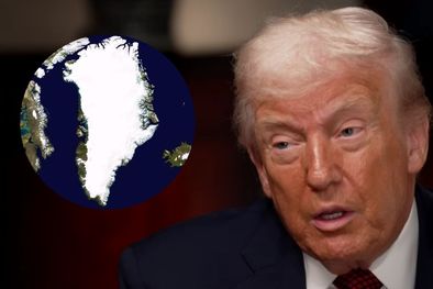 MDZol | trump groenlandia