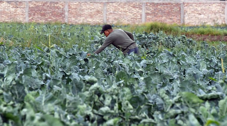 Foto: ALF PONCE MERCADO / MDZ