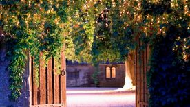 Las luces dorada aportan calidez y riqueza, especialmente cuando se combinan estratégicamente. Foto: Future