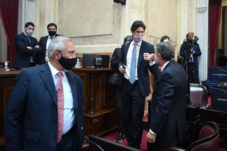 Lousteau y Caserio se saludan en la sesión del Senado. Después se cruzaron en el debate. Foto: Comunicación Senado.