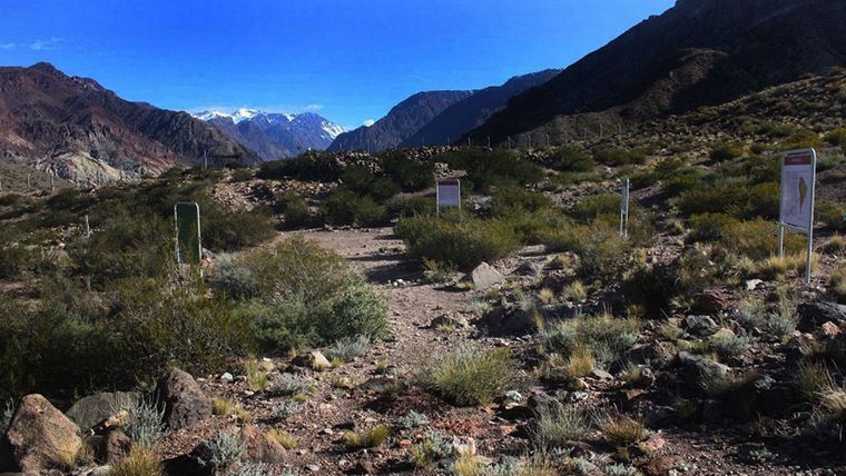 La quebrada de Ranchillos, en Uspallata, donde encontraron el cadáver. Imagen ilustrativa.&nbsp;&nbsp;