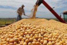 El Gobierno eliminó exigencias para los exportadores de granos y otras actividades. Foto: Noticias Argentinas