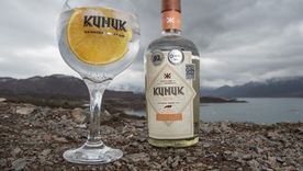 Espíritu Zorro celebró su nuevo hito con un destilado de alma mendocina. Espíritu Zorro celebró su nuevo hito con un destilado de alma mendocina.