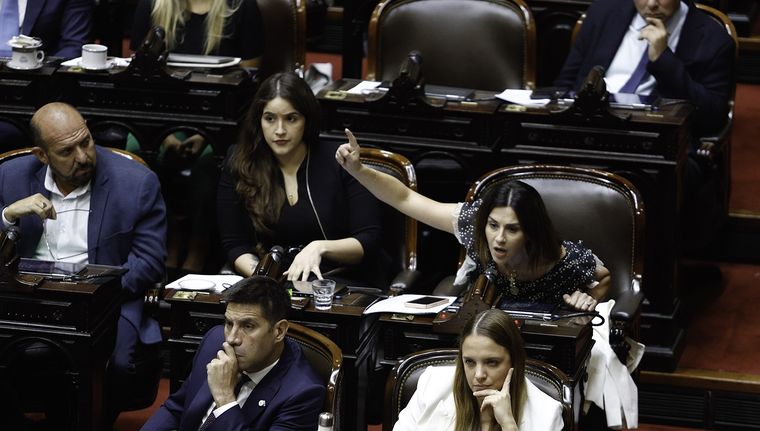 Diputados LLA. Foto: NA