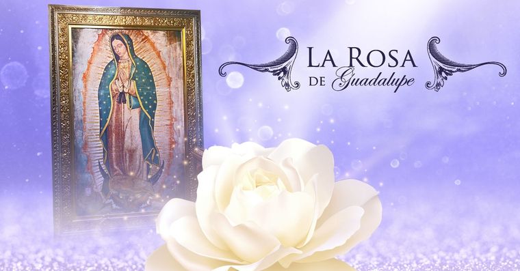 La Rosa de Guadalupe
