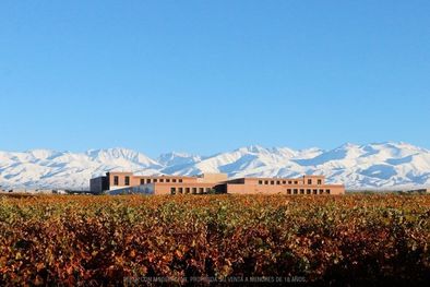 MDZol | Bodega Rutini, en Tupungato.