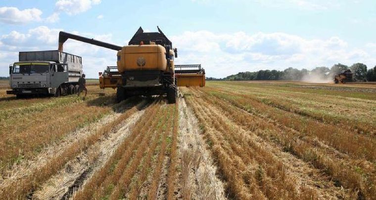 La Mesa de Enlace advierte que la suba de impuestos será perjudicial para el sector Foto: DW